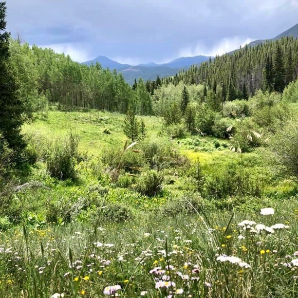 Meet your Posher, Karen - Picture 2 of 2